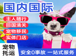 萧山空运代理国际宠物托运 【国